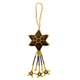 Brown Star